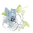 AnemoneBlueToo1