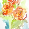 Begonia2