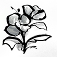 BoldGrey3