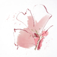FloralBlossom2