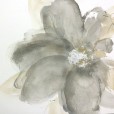 FloralGray1