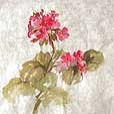 MulberryGeranium