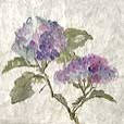 MulberryHydrangea