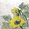 MulberrySunflower2