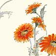 OrangeGerbera1