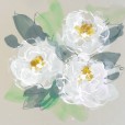 Peonies2