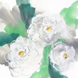 Peonies7