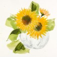 SunflowerPumpkin