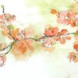 TintedBlossoms1