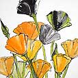 WildBouquet4