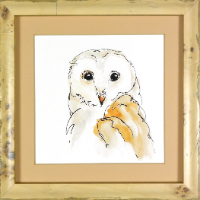 BarnOwl2