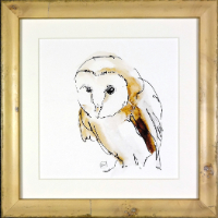 wBarnOwl1