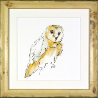 wBarnOwl8