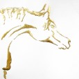 GildedShowhorse