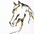 GoldenHorse2