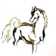 GoldenHorse8