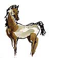 horses/HorseCuriosity
