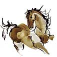 horses/HorseEndurance