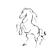 LineHorse1