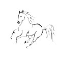 LineHorse3