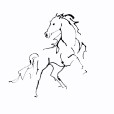 LineHorse4