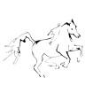 LineHorse5