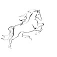 LineHorse6