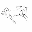 LineHorse7