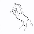 LineHorse9