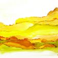 Yellowscape1