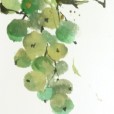 GreenGrapePanel1