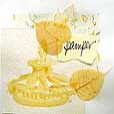LBathPamper