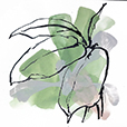 BigLeaf1