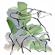 BigLeaf3