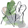 BigLeaf4