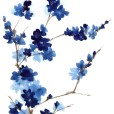 BlueBranch1