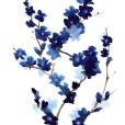 BlueBranch2