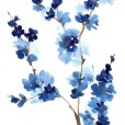 BlueBranch4