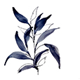 DuskLeaves1