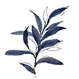 DuskLeaves2