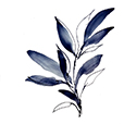 DuskLeaves3