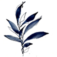 DuskLeaves4