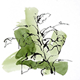 OrganicIvy3