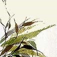 ScrollGrasses4