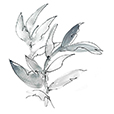 SimpleGrey1