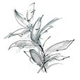 SimpleGrey2