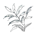 SimpleGrey3