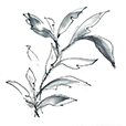 SimpleGrey4