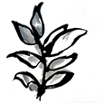 SustainedLeaves1