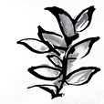 SustainedLeaves2